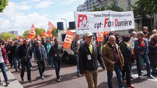 Cortege8 1